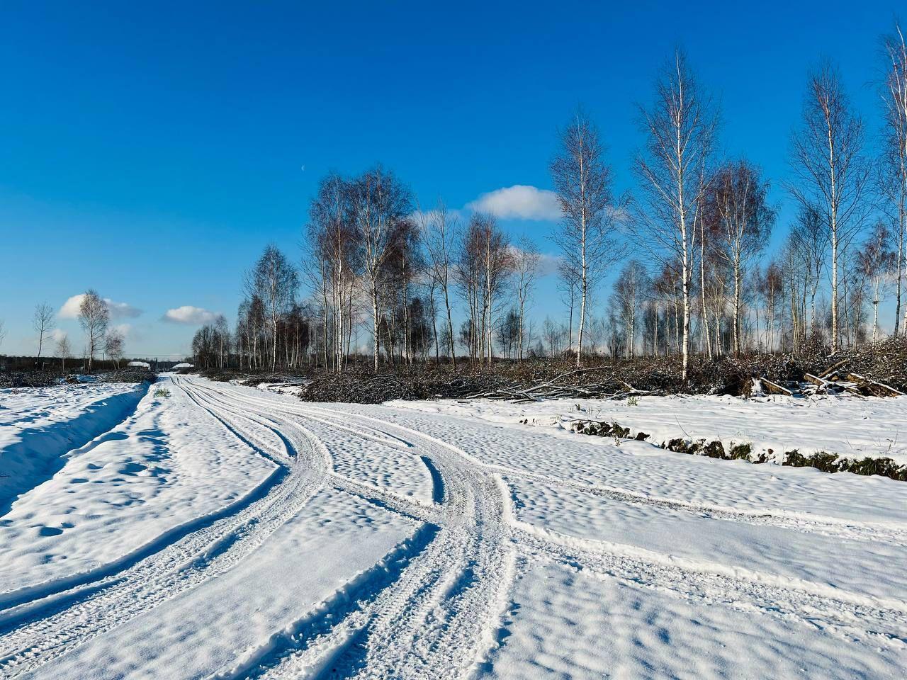 земля городской округ Раменский пос. Эко Квартал Раздолье, Домодедовская фото 7