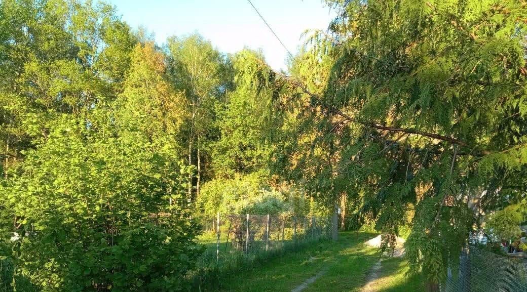 земля р-н Гурьевский г Гурьевск снт Парус пер Луговой фото 12