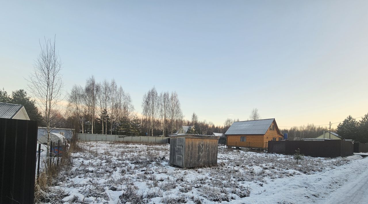 земля городской округ Дмитровский Зверобой СНТ фото 11