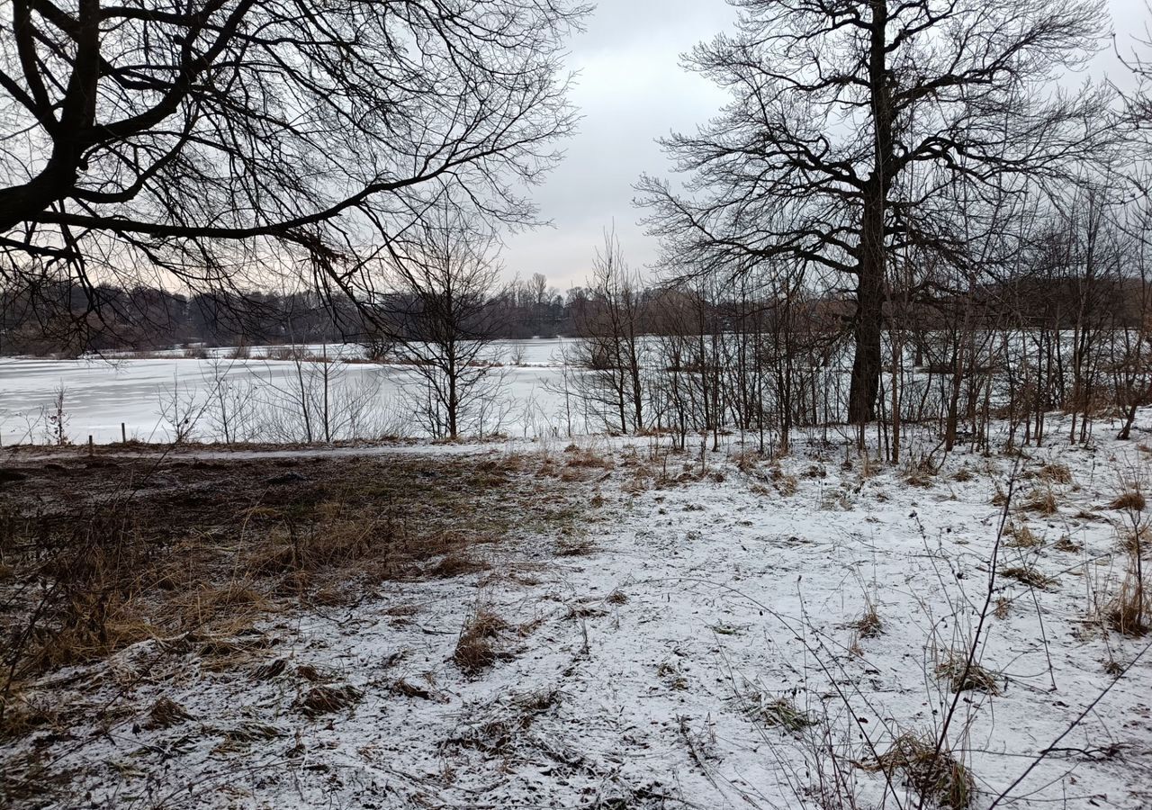 гараж городской округ Домодедово пос. Государственного племенного завода Константиново, ул. Гагарина, 141 фото 6