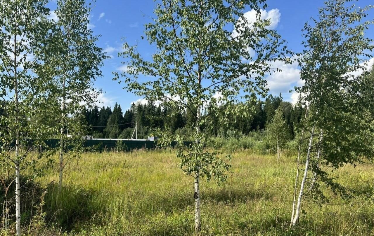 земля городской округ Дмитровский 32 км, ТСН СНТ Рождествено, Менделеево, Рогачёвское шоссе фото 5