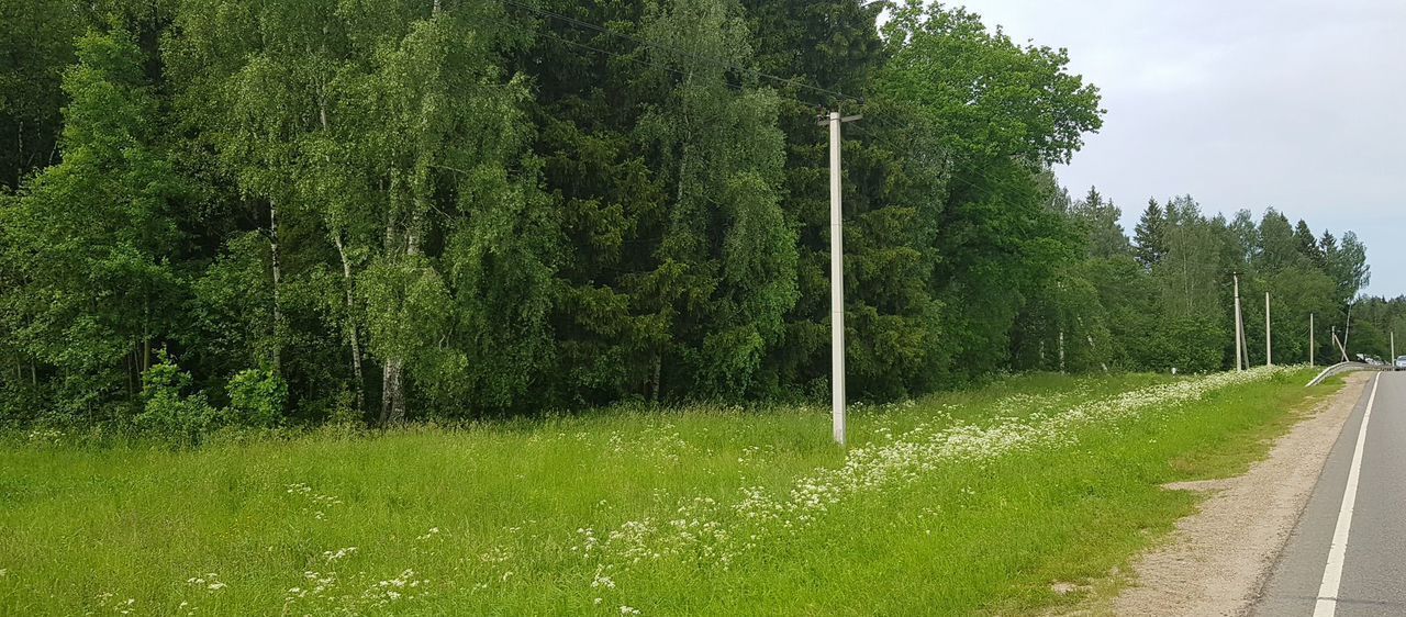 земля городской округ Дмитровский д Хорьяково 36 км, Деденево, Дмитровское шоссе фото 1