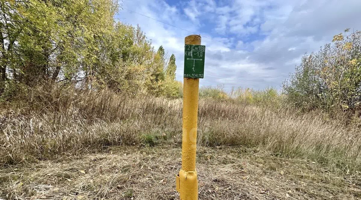 земля р-н Белгородский с Пушкарное снт Вишенка городское поселение, №7 массив, Поселок Разумное фото 14