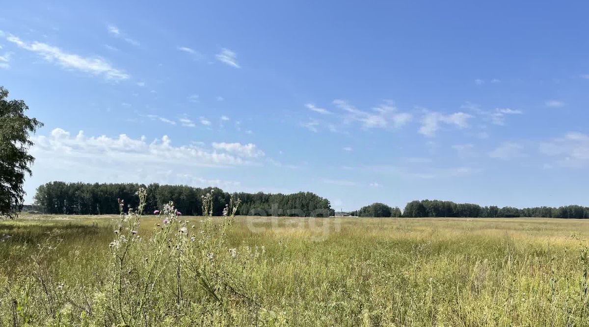 земля р-н Новосибирский с Марусино Криводановский сельсовет, ул. Янтарная фото 1