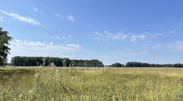 земля с Марусино Криводановский сельсовет, ул. Янтарная фото