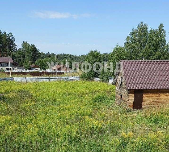 дом р-н Новосибирский п Ломовская Дача Кубовинский сельсовет, 12А, Новосибирск фото 5