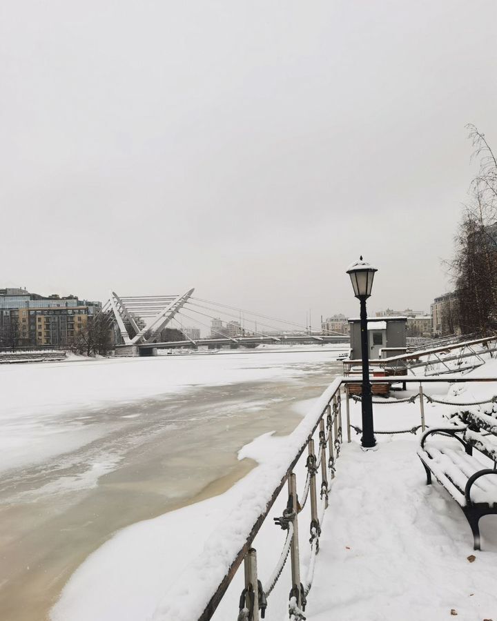 квартира г Санкт-Петербург метро Чкаловская ул Пионерская 50 округ Петровский, Петроградка фото 25