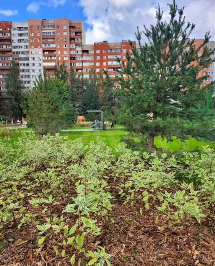 квартира г Санкт-Петербург метро Проспект Ветеранов пр-кт Ленинский 93к/2 округ Юго-Запад фото 23