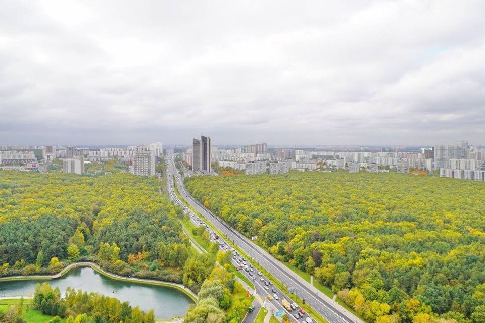 квартира г Москва пр-кт Ленинский 111/1 Юго-Западный административный округ фото 6