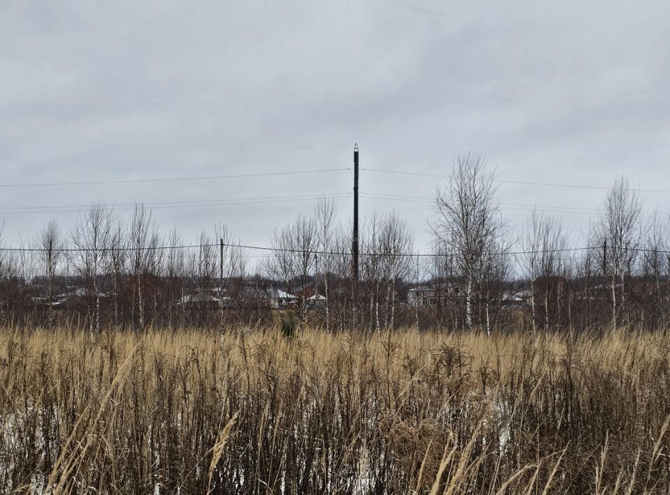 офис городской округ Луховицы п Совхоза Астапово ул. Чеснокова фото 1