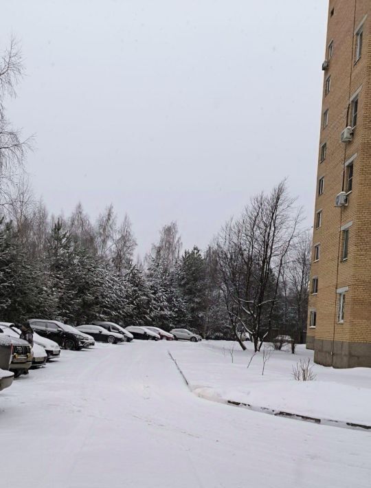 квартира городской округ Пушкинский Черкизово дп, ул. Ганны Шостак, 1Б, Медведково фото 42