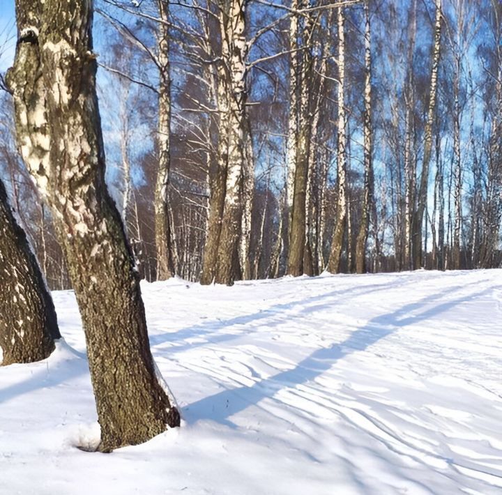 дом городской округ Можайский д Марфин - Брод снт Можайское Море ДНП, 71 вл 2 фото 15