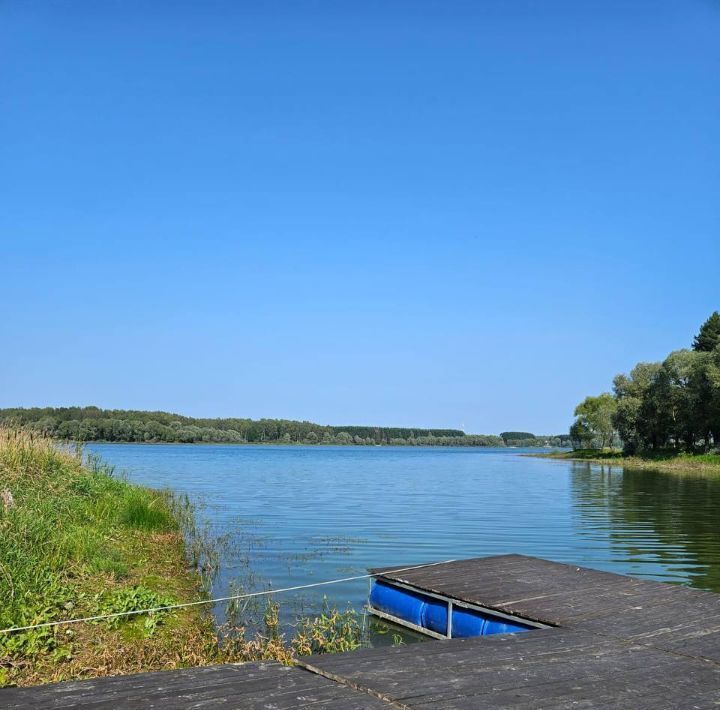 дом городской округ Можайский ДНТ, Лукоморье фото 9