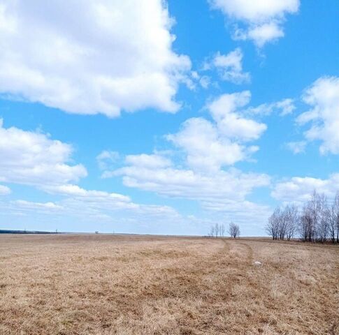 земля р-н Томский с Корнилово фото