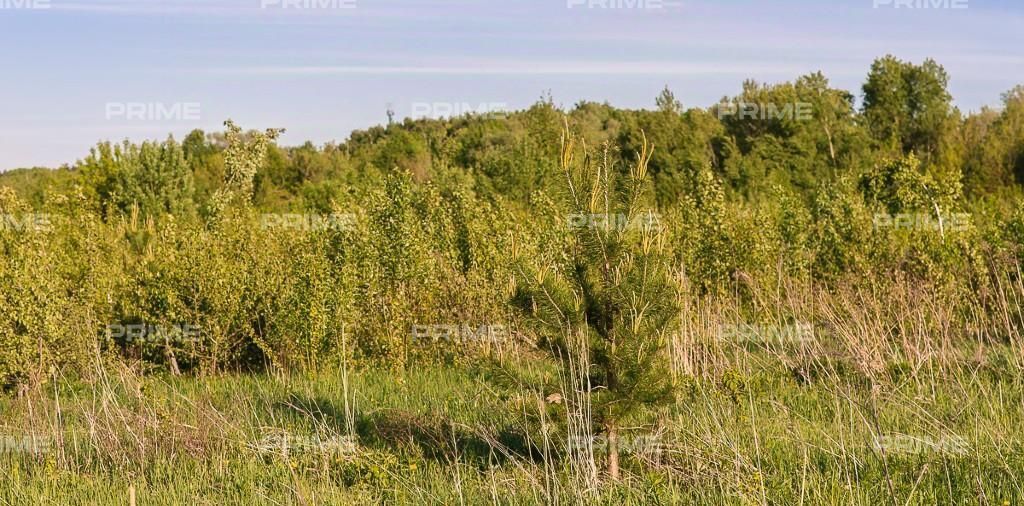 земля городской округ Истра д Покровское ЖК Новорижский тер., Нахабино фото 3