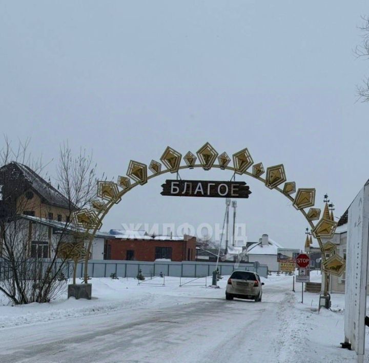 земля г Новосибирск р-н Центральный Заельцовская фото 3