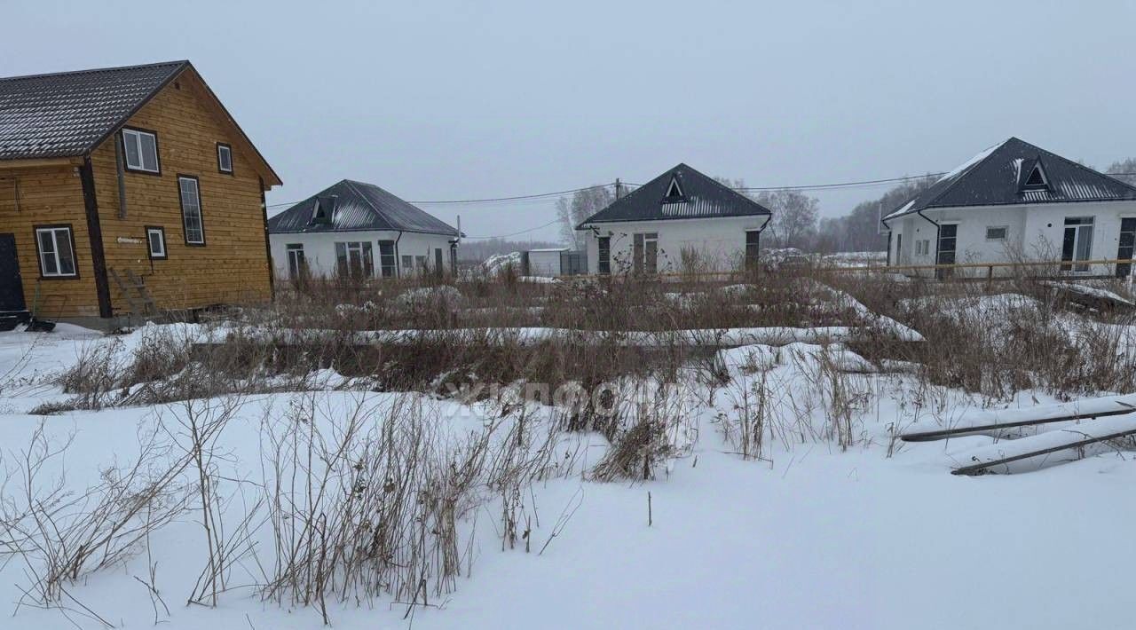 земля г Новосибирск р-н Центральный Заельцовская фото 4