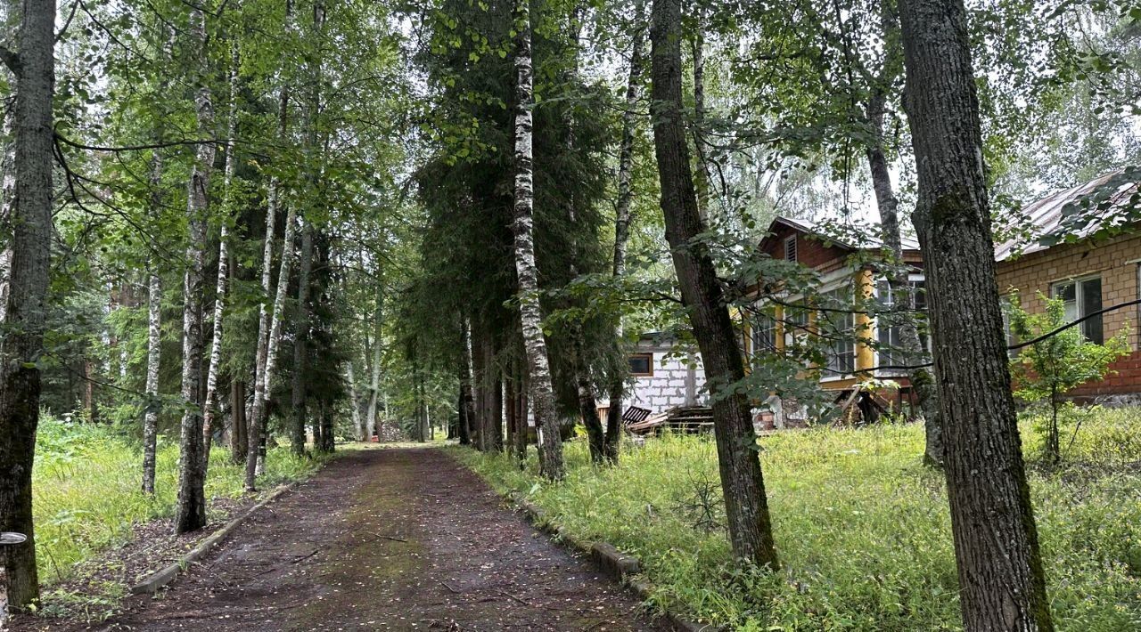 земля городской округ Можайский с Борисово фото 10