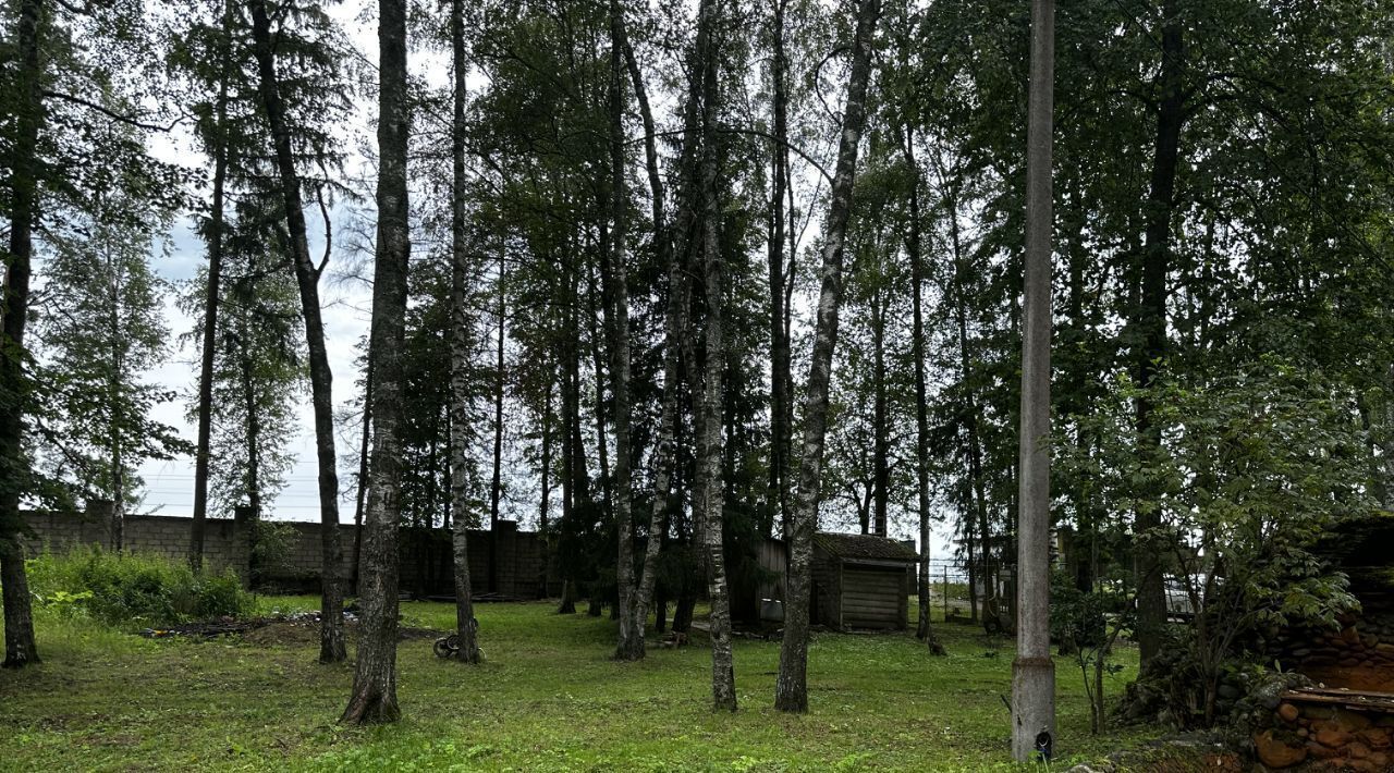 земля городской округ Можайский с Борисово фото 14