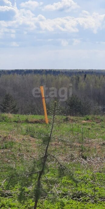 земля р-н Череповецкий д Полуево муниципальное образование Югское фото 3