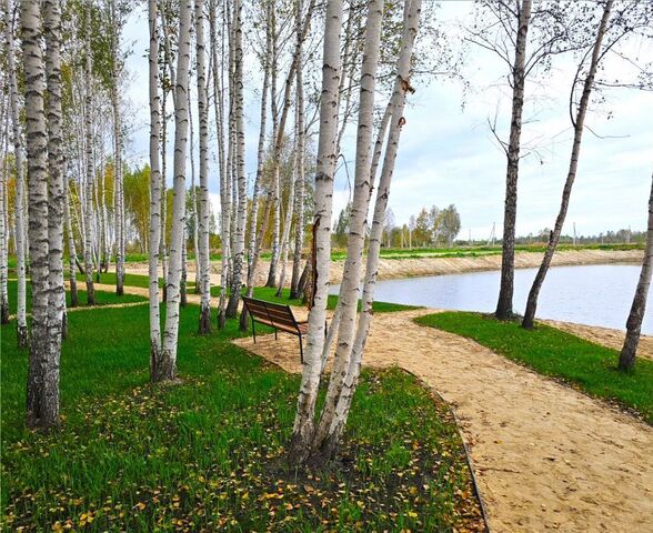 земля тракт Салаирский фото