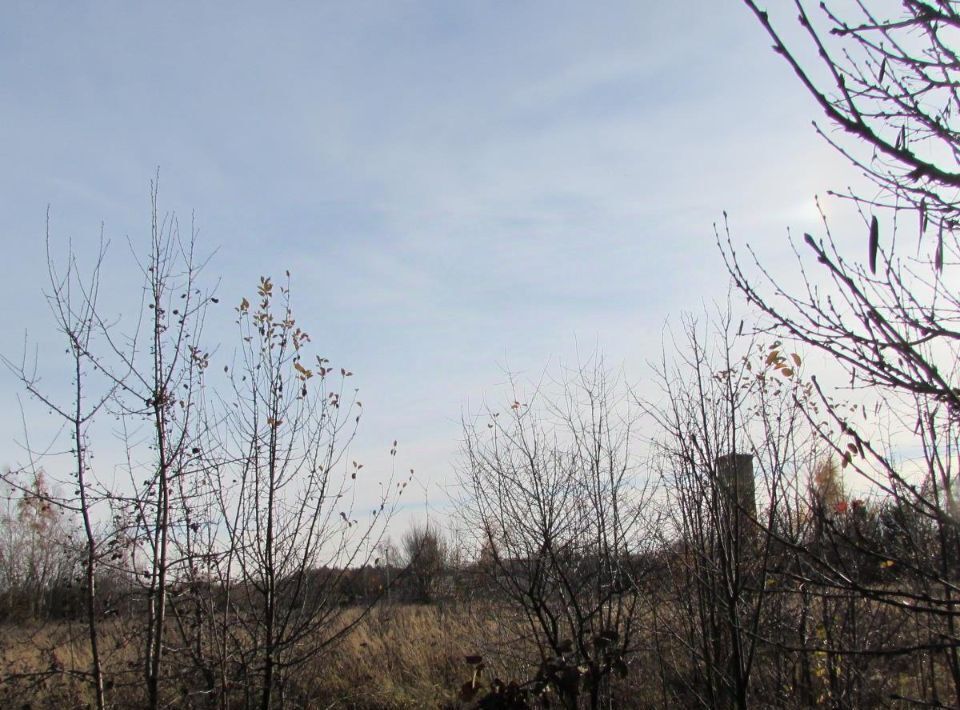 офис городской округ Коломенский д Ворыпаевка Коломна городской округ фото 1