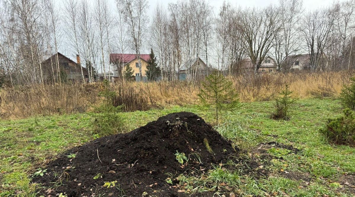 офис городской округ Богородский г Электроугли д. Большое Васильево фото 1