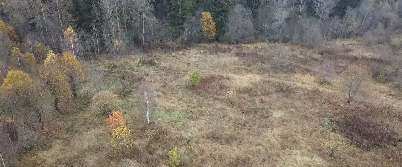 офис городской округ Волоколамский д Чернево фото 1