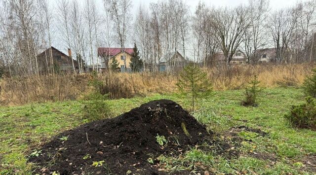 д. Большое Васильево фото