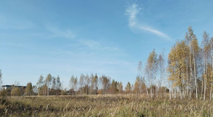 офис городской округ Дмитровский рп Деденево фото 1