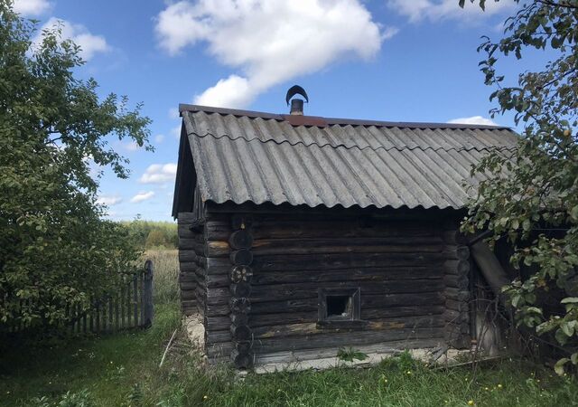 д Силинский Майдан Лукоянов фото