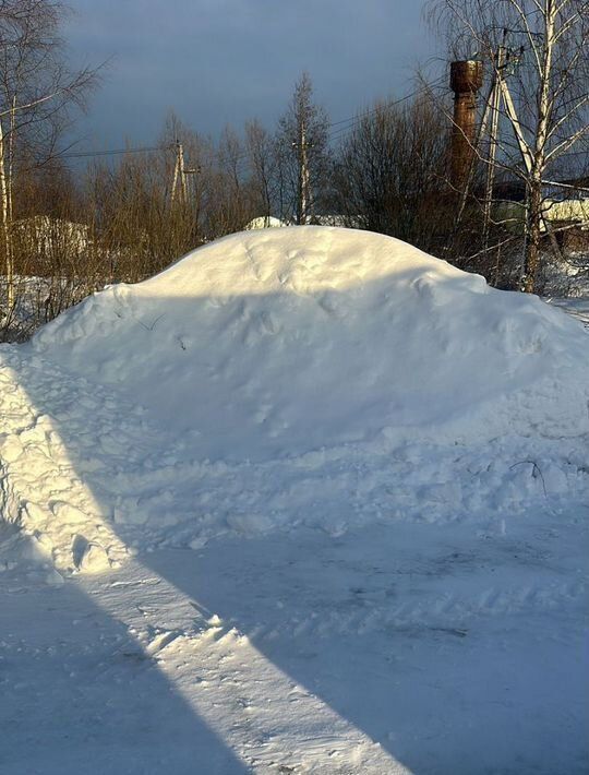 земля р-н Смоленский д Цыбульники Смоленский муниципальный округ фото 1