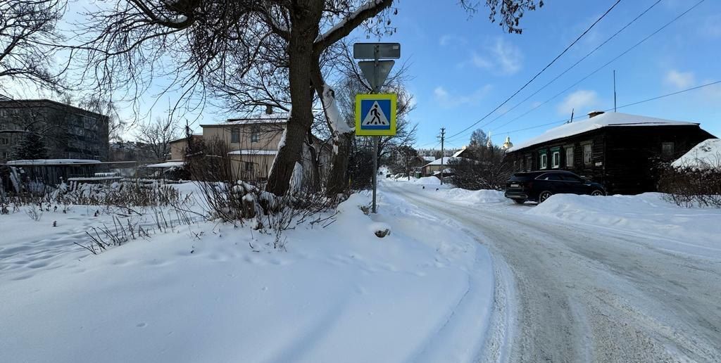 земля г Пенза р-н Ленинский ул Набережная реки Мойки 1/2 фото 4