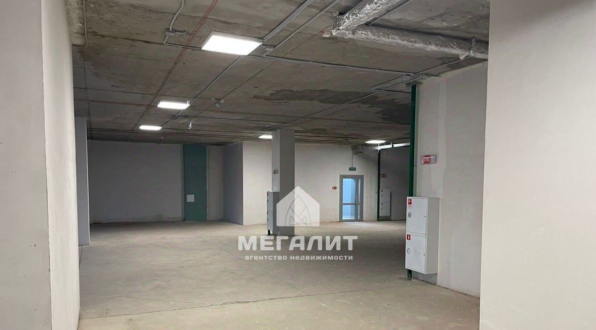 свободного назначения г Казань Козья слобода пр-кт Ямашева 33 фото 4
