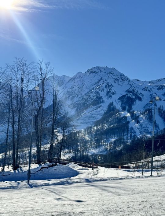 квартира г Сочи с Эстосадок с Илларионовка р-н Адлерский наб. Полянка, 2 фото 4