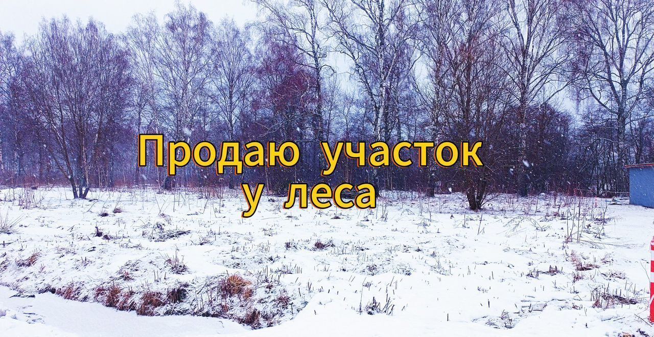 земля г Воскресенск снт Дачное 81 км, некоммерческое партнёрство Шиколово, 17, Можайский муниципальный округ, Можайск, Минское шоссе фото 1