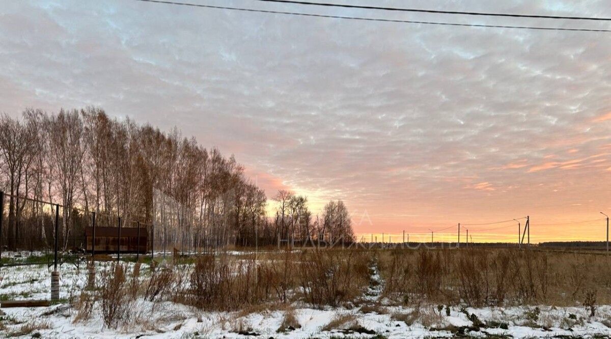 земля р-н Тюменский Новокаменский кп, ул. Лермонтова фото 1