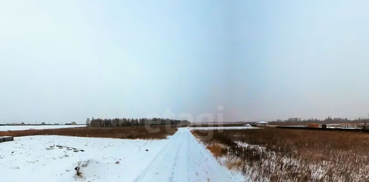 земля р-н Тюменский с Борки ул Филиновская фото 1