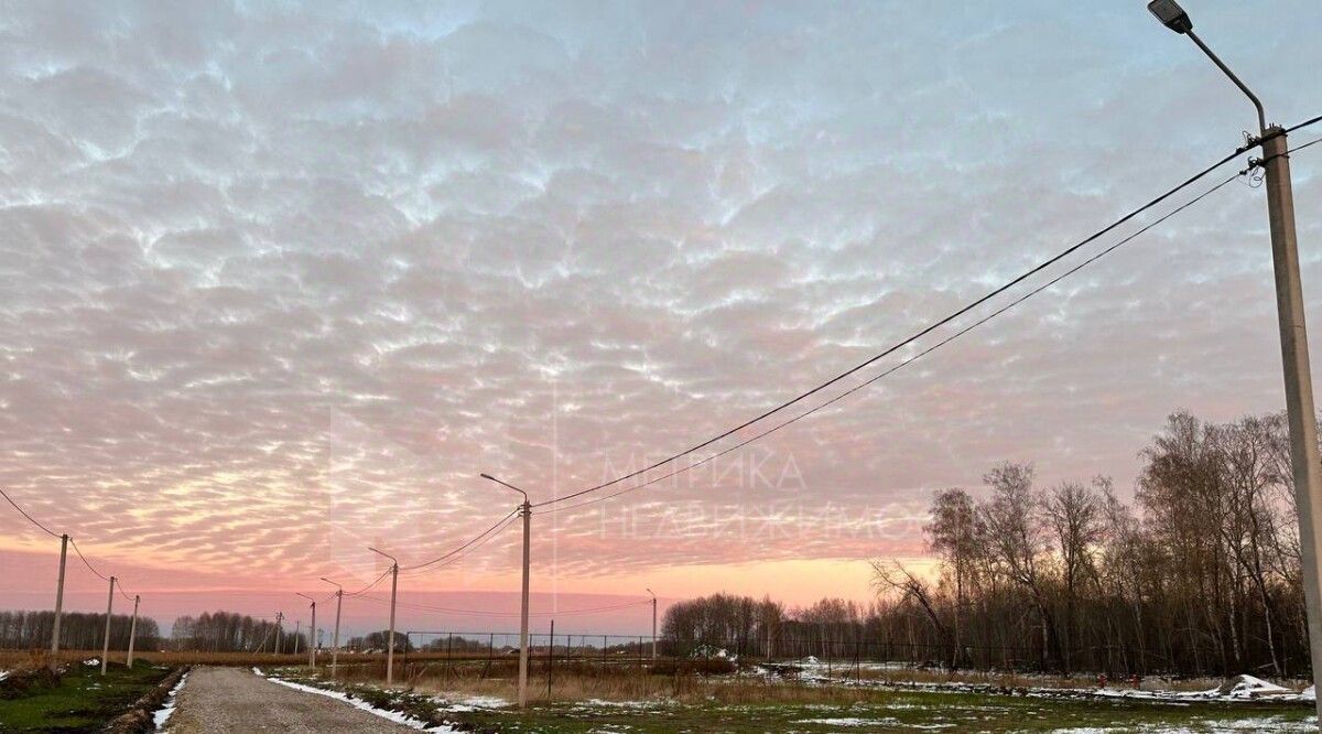 земля р-н Тюменский Новокаменский кп, ул. Лермонтова фото 3