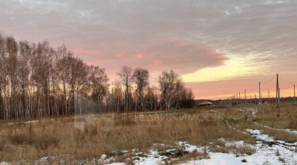 земля р-н Тюменский Новокаменский кп, ул. Лермонтова фото 4