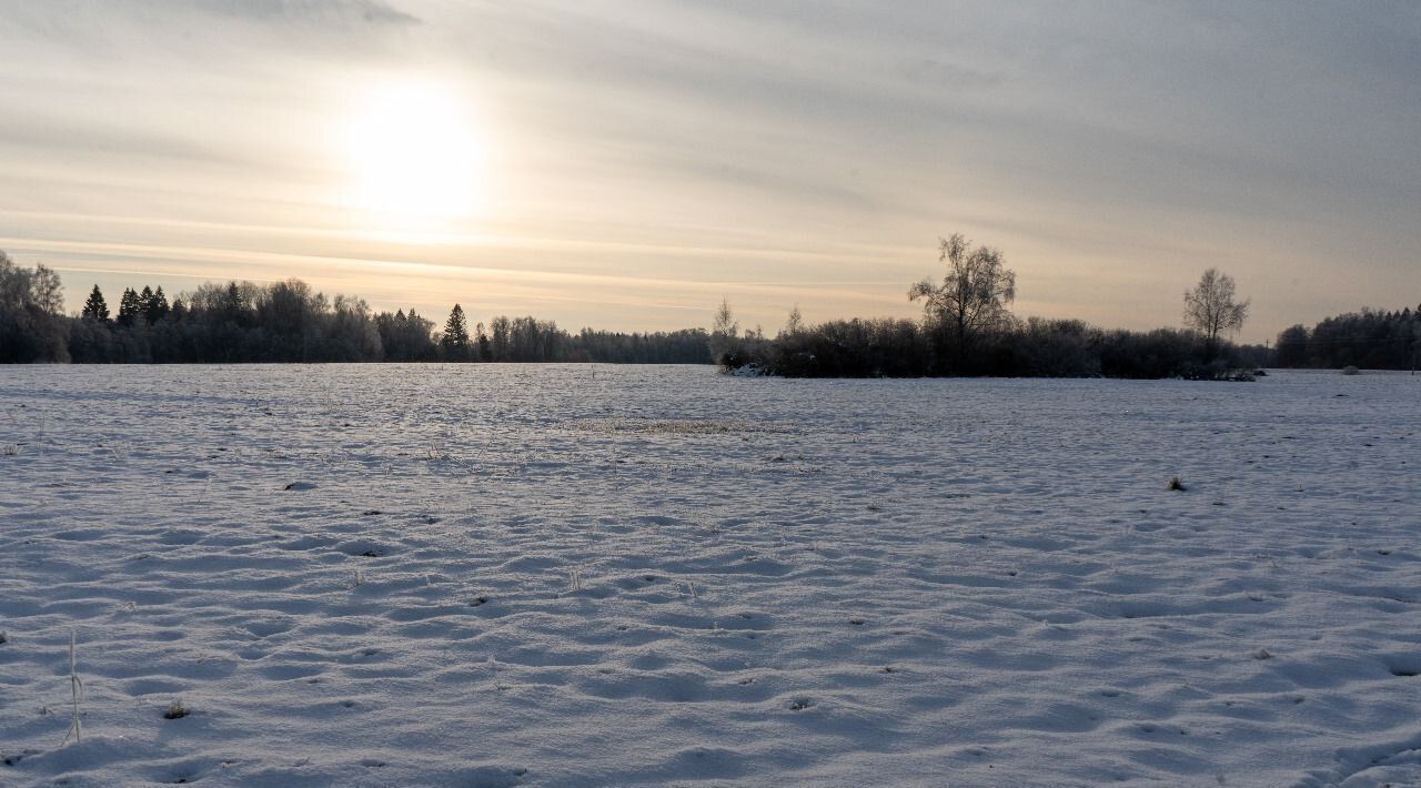 земля городской округ Волоколамский д Курьяново фото 3