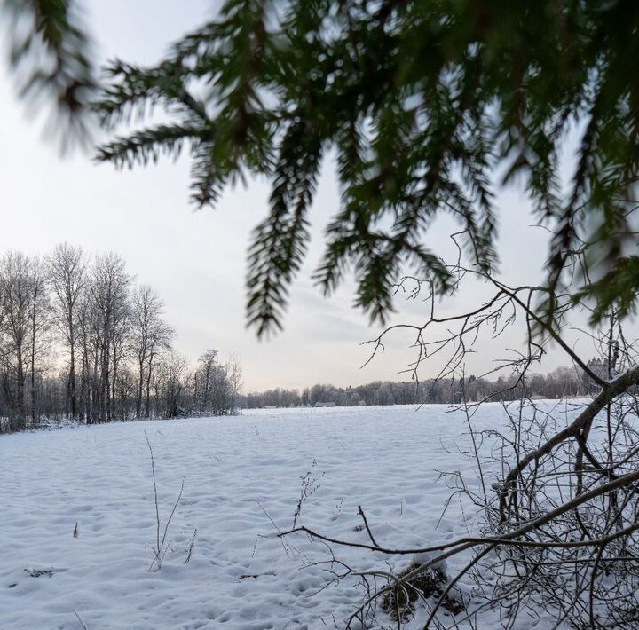 земля городской округ Шаховская с Белая Колпь ул Центральная фото 2