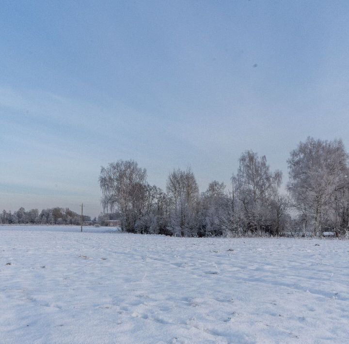 земля городской округ Шаховская с Белая Колпь фото 2