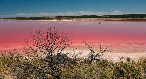 дом г Красноперекопск садоводческое общество Мичуринец, Ароматная ул фото 8