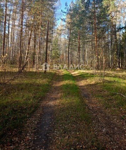 муниципальное образование Лавровское фото