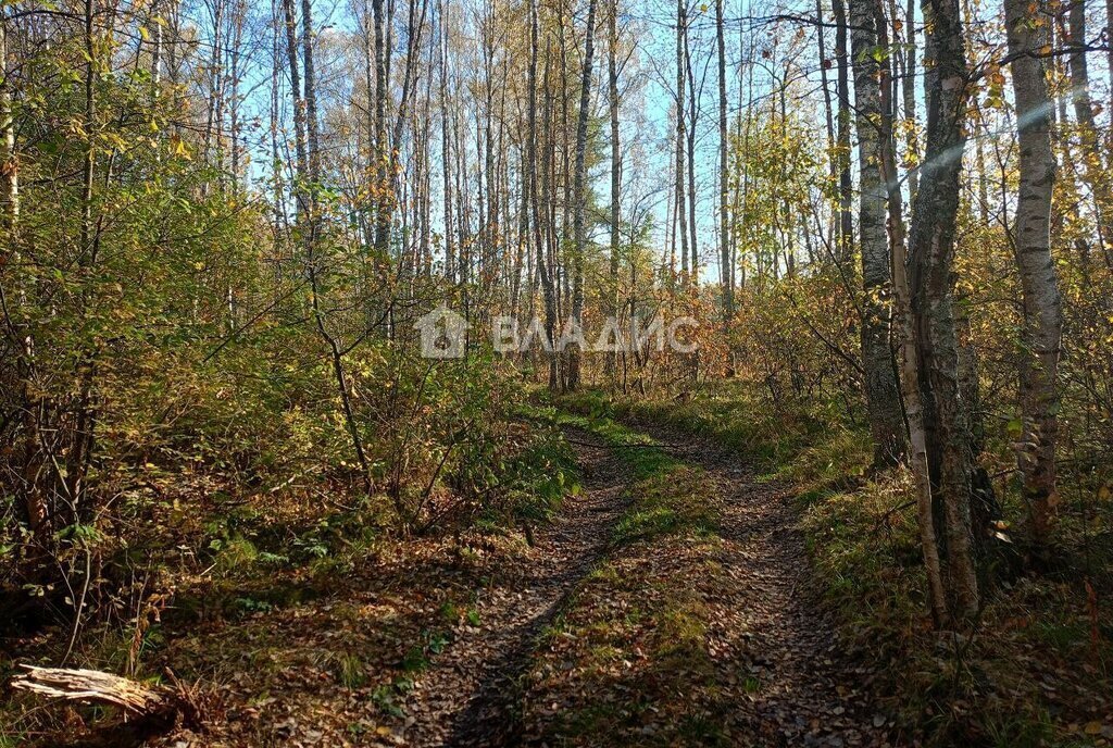 земля р-н Судогодский д Богданцево муниципальное образование Лавровское фото 3