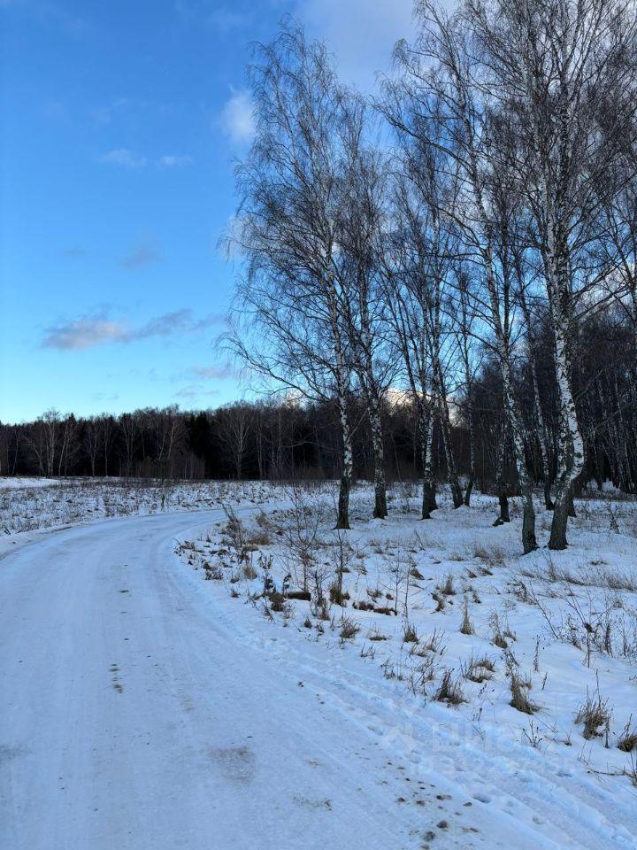 земля городской округ Чехов п Любучаны Любучаны, 1, городской округ Чехов фото 4