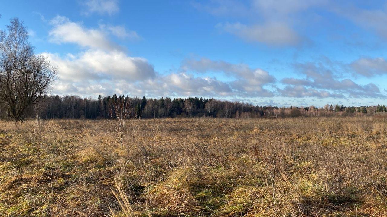 земля городской округ Коломенский д Сычёво 19, Ivantsevo, Moskovskaya oblast, Russia, 143628 фото 2