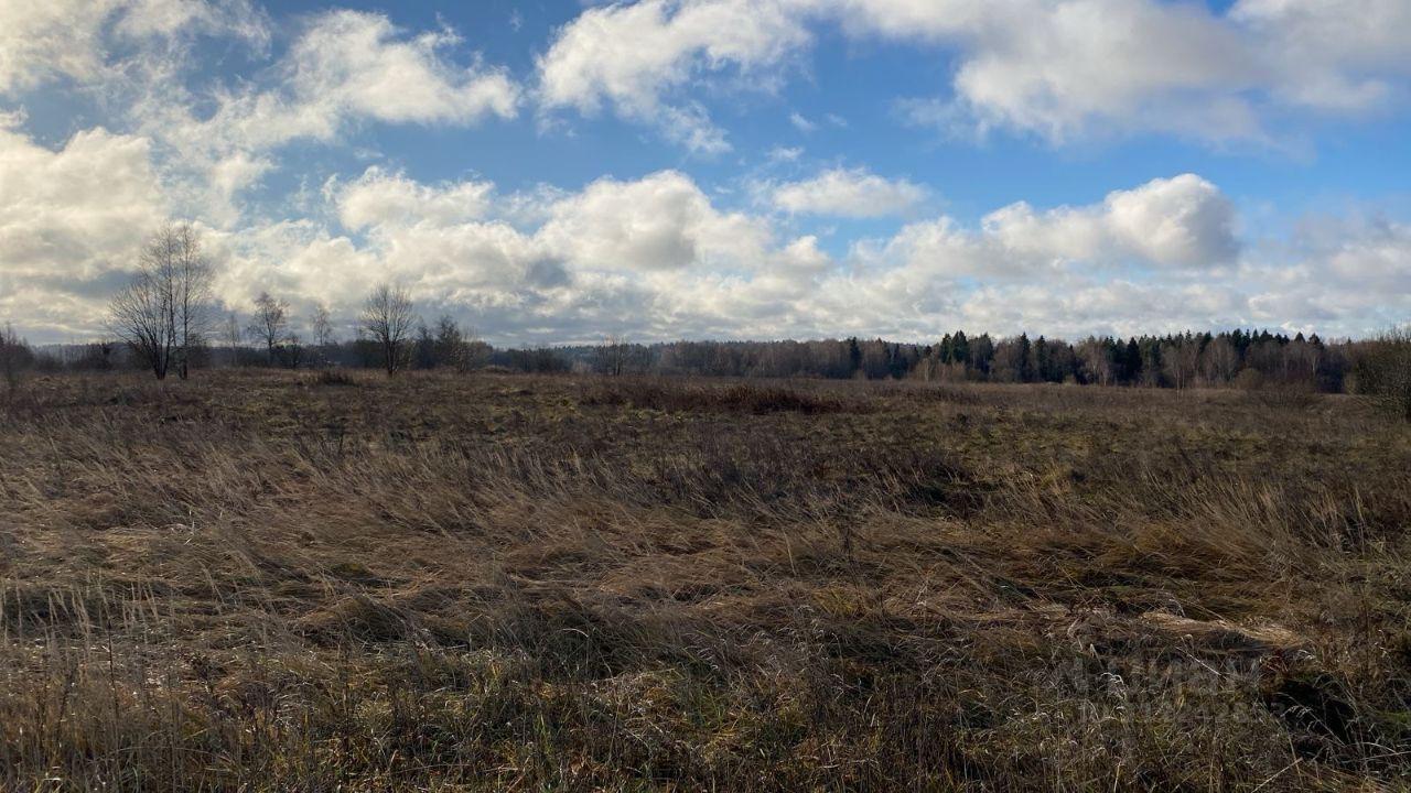 земля городской округ Коломенский д Сычёво 19, Ivantsevo, Moskovskaya oblast, Russia, 143628 фото 4