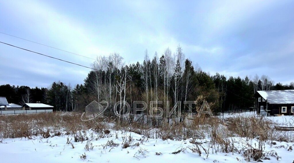 земля р-н Тюменский с Каменка ул Тюменская фото 1